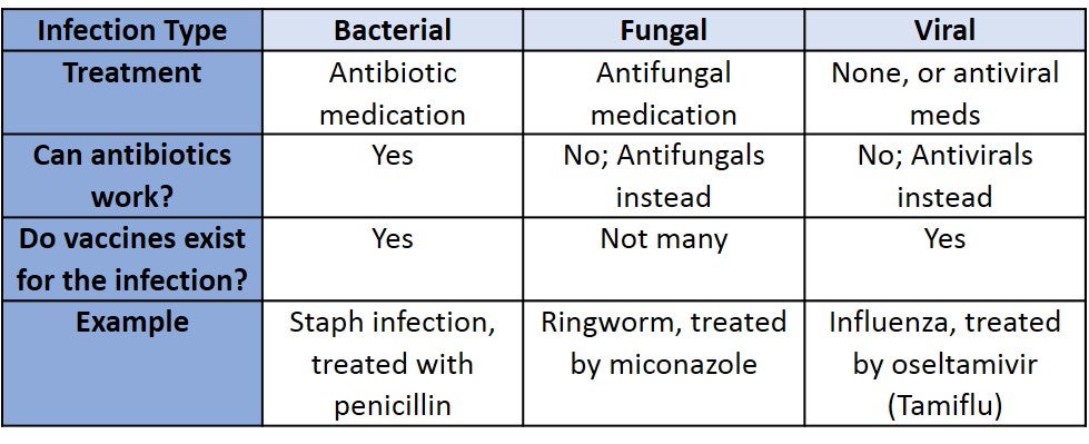 Different Treatments For Different Pathogens Ask A Biologist